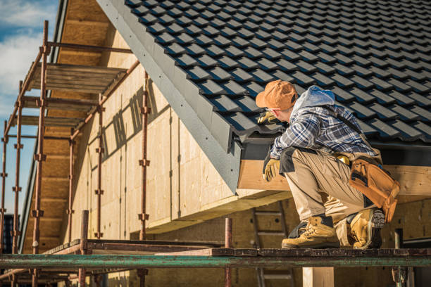 Best Roof Gutter Cleaning  in Groves, TX